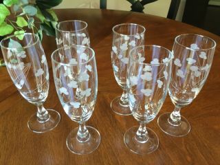 6 Vintage Etched Whiskey Sour Glasses 6 3/8 "