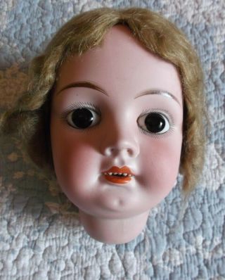 Big Bisque French Doll Head Fleischmann Type.