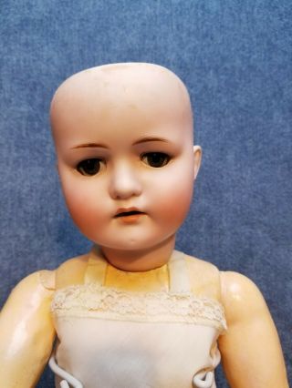 Antique German Bisque Head Doll Max Handwerck Bebe Elite 286 Sonneberg Body 24in