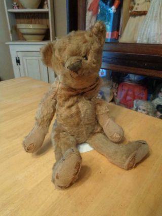 Well Loved Antique/vtg Mohair Teddy Bear Excelsior Filled Tlc Fully Jointed 14 "