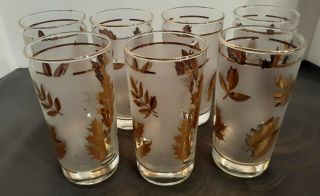 Vintage 1960s Libbey Gold Leaf Frosted Drinking Glasses - Set Of 7