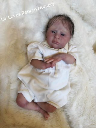 Reborn Baby Boy Jayden By Natalie Scholl Newborn Le Art Doll W/coa Nr