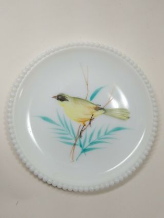 Westmoreland Milk Glass Beaded Edge 7 1/4 " Salad Dessert Plate With Yellow Bird
