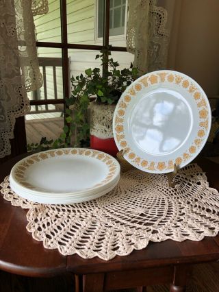 Vintage Corning Corelle Butterfly Gold Dinner Plates Set Of 8