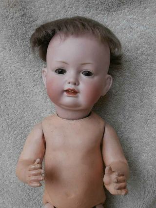 Antique German Bahr Proschild Bisque Head Character Toddler Doll 13 1/2 " 604