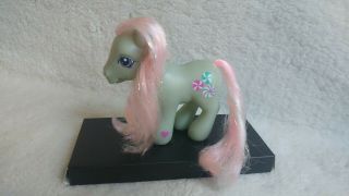 Minty Iii 3 Walking Pose My Little Pony G3 Ponies Peppermints Green Pink