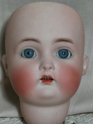 Antique German Bisque Doll Kammer & Reinhardt K R 403 Doll Head Only