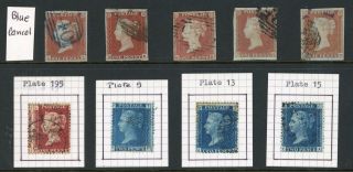 Gb Qv 1841 Selection Of 5 X 1d Red - Brown & 4 X 1864 - 79 1d Reds & Blues