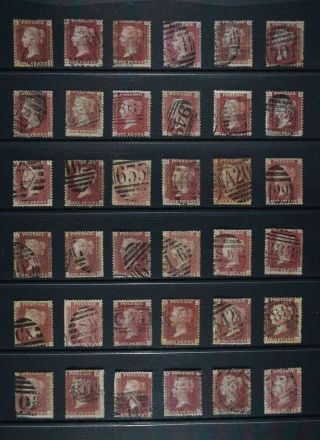 Qv,  Penny Red,  Sg 43,  Thirty Six Examples For Plate Number Identification.