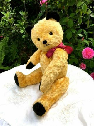 Antique / Vintage 25 Inch Large Sooty Teddy Bear 1950 