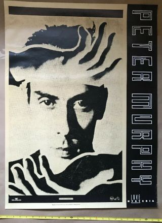 Peter Murphy Bauhaus Love Hysteria 1988 Promo Poster Vg,  Slight Fox
