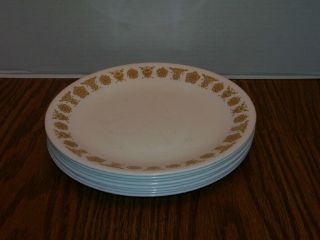 Set Of 8 Vintage Corelle Corning " Butterfly Gold " Luncheon Plates Retro