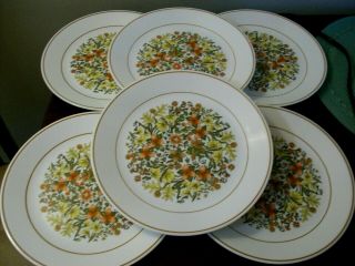 Vintage Corelle By Corning Indian Summer Set Of Six Dinner Plates Dishes Euc