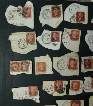 Great Britain Penny Red Stamps On Paper.  Unchecked for Postmarks,  Wmk & Perf. 2