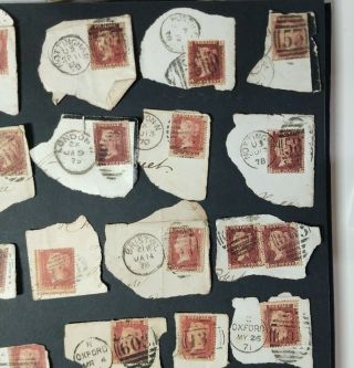 Great Britain Penny Red Stamps On Paper.  Unchecked for Postmarks,  Wmk & Perf. 3