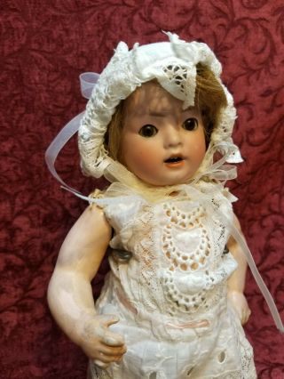 Antique German Bisque Head Toddler Doll Schoenau Hoffmeister Hanna Cute