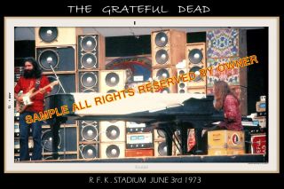 Grateful Dead Jerry Garcia 1973 8 X 12 Rfk Stadium Color Rare Image.  Colorful