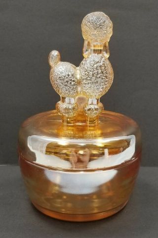Vintage Poodle Powder Box Jeannette Glass Marigold Carnival Glass Trinket 1049 3