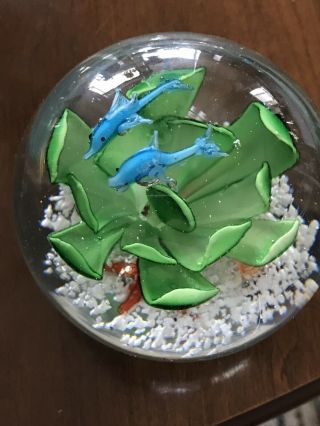 Dynasty Gallery Heirloom Collectible Glass Paperweight Under The Sea