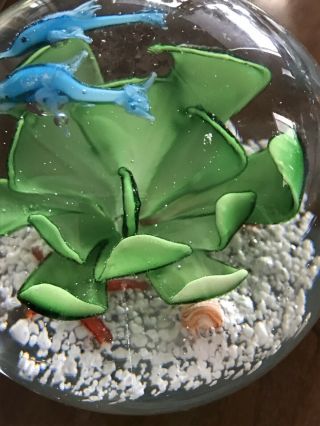 Dynasty Gallery Heirloom Collectible Glass Paperweight Under The Sea 3