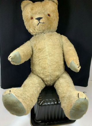 Antique Jointed Teddy Bear,  Mohair,  Hump,  Glass Eyes,  Excelsior Stuffing,  24 "