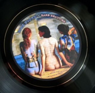 Pink Floyd Rare Beauties Vinyl Lp Retro Bowl Quality Others Listed Ideal Gift