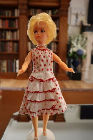 Rare Tina Cassini Doll With A Mixture Of Her Clothes,  Tammy 