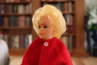 Rare Tina Cassini Doll with a mixture of her clothes,  Tammy ' s and MM 3