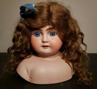 Antique Large German Bisque Doll Head W/ Hair No.  12 - 1123 1/2