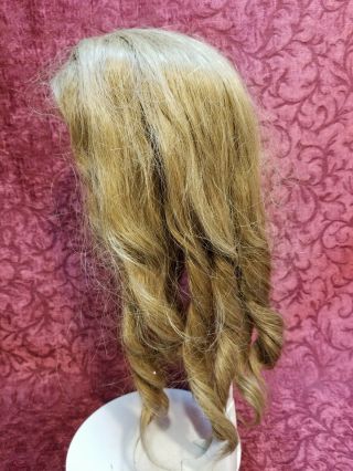 Antique Large Human Hair Brown Doll Wig For A German / French Bisque Head Doll