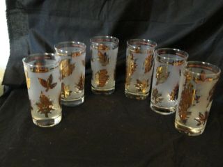 Set Of 6 Vintage Libbey Gold Foliage Leaf Frosted Drinking Glasses Tumblers Mcm
