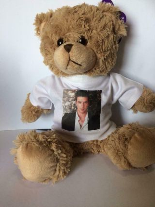 Westlife Mark Feehily 8 Inch Very Cuddly Teddy Bear