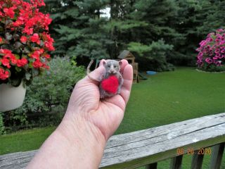 Ooak Realistic Miniature Baby Rat Mouse Artist Hand Sculpted By Angelica 2 "