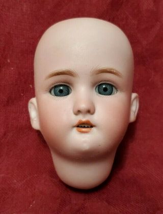 Wonderful Small Antique German Bisque Doll Head Simon & Halbig " Jutta "