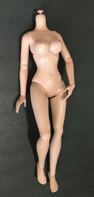 Athletic Curvy Tonner Doll Body For Wonder Woman,  Lara Croft Or Deedee Denton