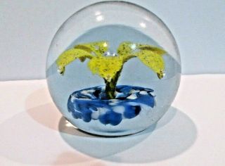 Vintage Art Glass Hand Blown Paperweight Yellow Cobalt Blue Flower `2.  75 "