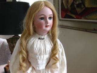Antique Human Hair Wig For German Or French Doll