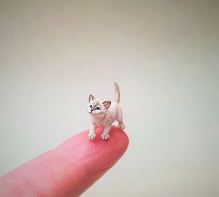 Dollhouse Miniature Sarah Hendry Grey Point Kitty 1/12th Scale