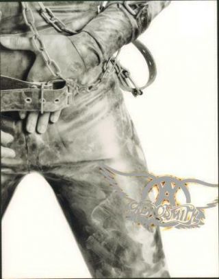 Aerosmith 1993 " Get A Grip " Tour Program Book Joe Perry / Steven Tyler