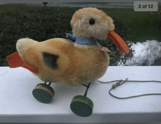 Steiff Pull Toy Duck Colorful Mohair Plush Eccentric Wood Wheels 1950s All Id Nr