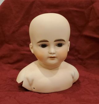 Large Antique German Bisque Doll Head Abg Mold 698