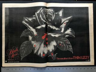 Thin Lizzy 1978 17x26” Album Release “black Rose” Promo Ad