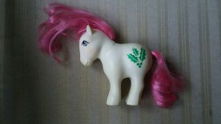 Vintage 1982 Mail Order My Little Pony Holly Birth Flower