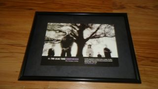 The Lilac Time Compendium - Framed Advert