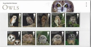 Great Britain 2018 Owls Set Of 10 In Two Strips Presentation Pack