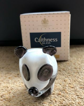 Caithness Glass,  Black & White Panda Figurine,  Perfect.