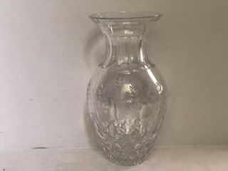 Rogaska Clear Crystal Vase 8 " Tall