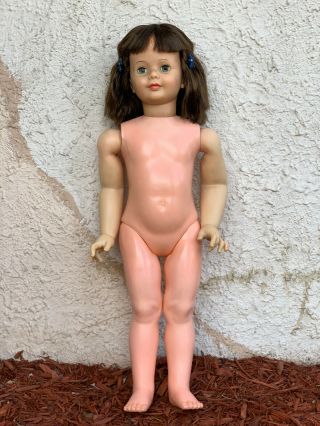 35” Vintage Ideal Patti Playpal Brunette Doll