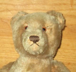 Antique 13 " Tall Steiff Tan Jointed Mohair Teddy Bear With Ear Button