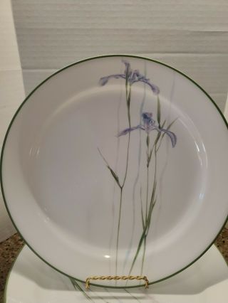 Vintage Set Of 4 Corelle Shadow Iris Pattern 10 1/4 " Dinner Plates Usa Euc
